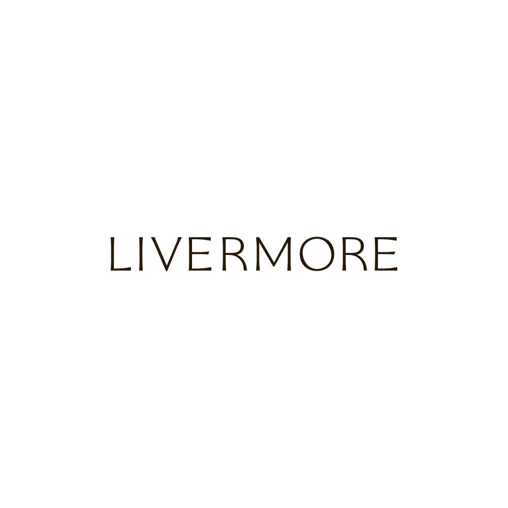 El libro de Livermore – página 3
