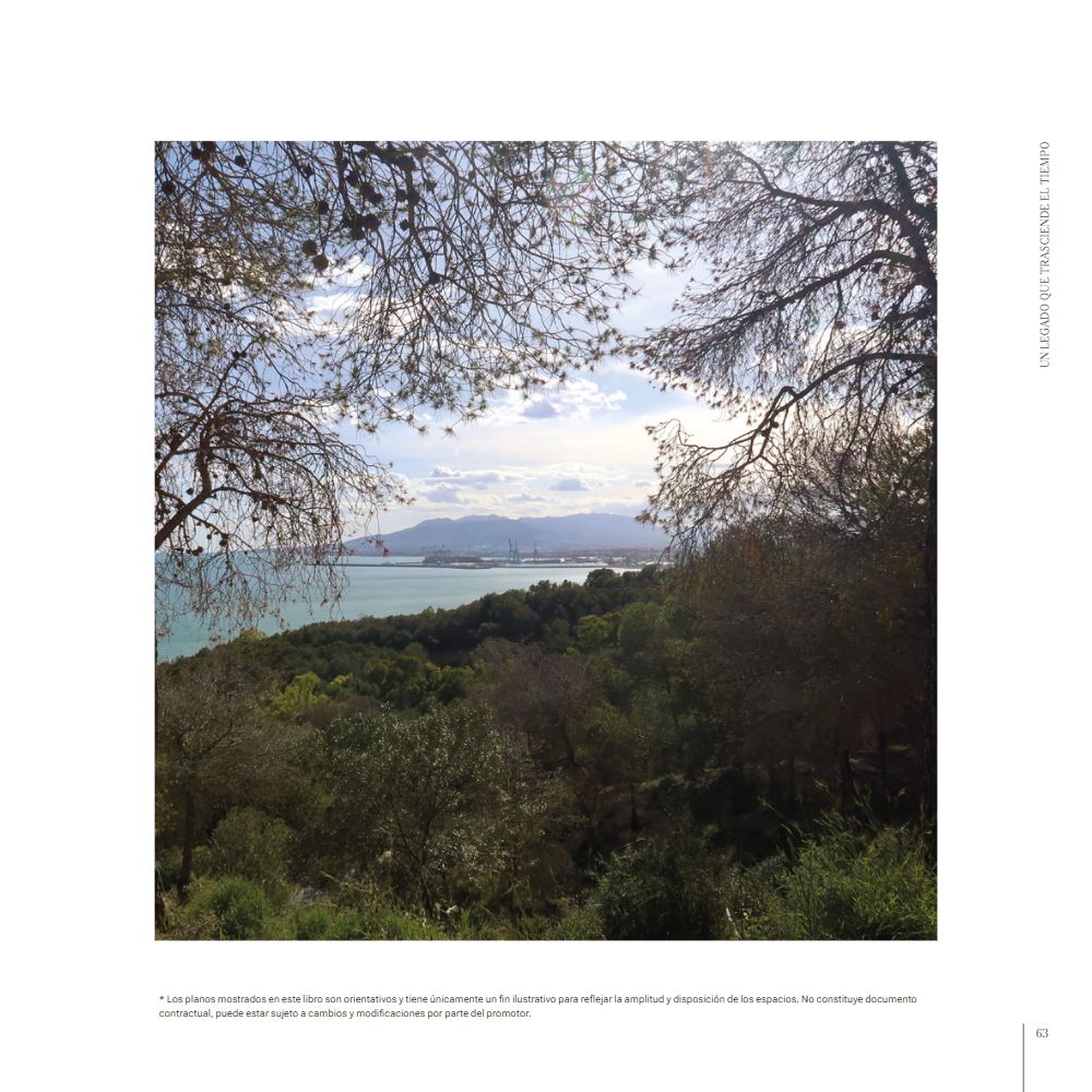 El libro de Livermore – página 63